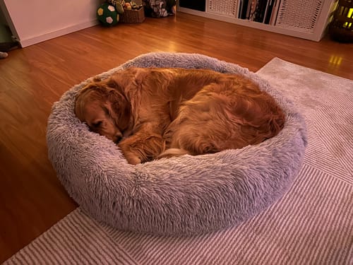 Customer photo review of CalmBed - Motverkar stress & hjälper mot ångest