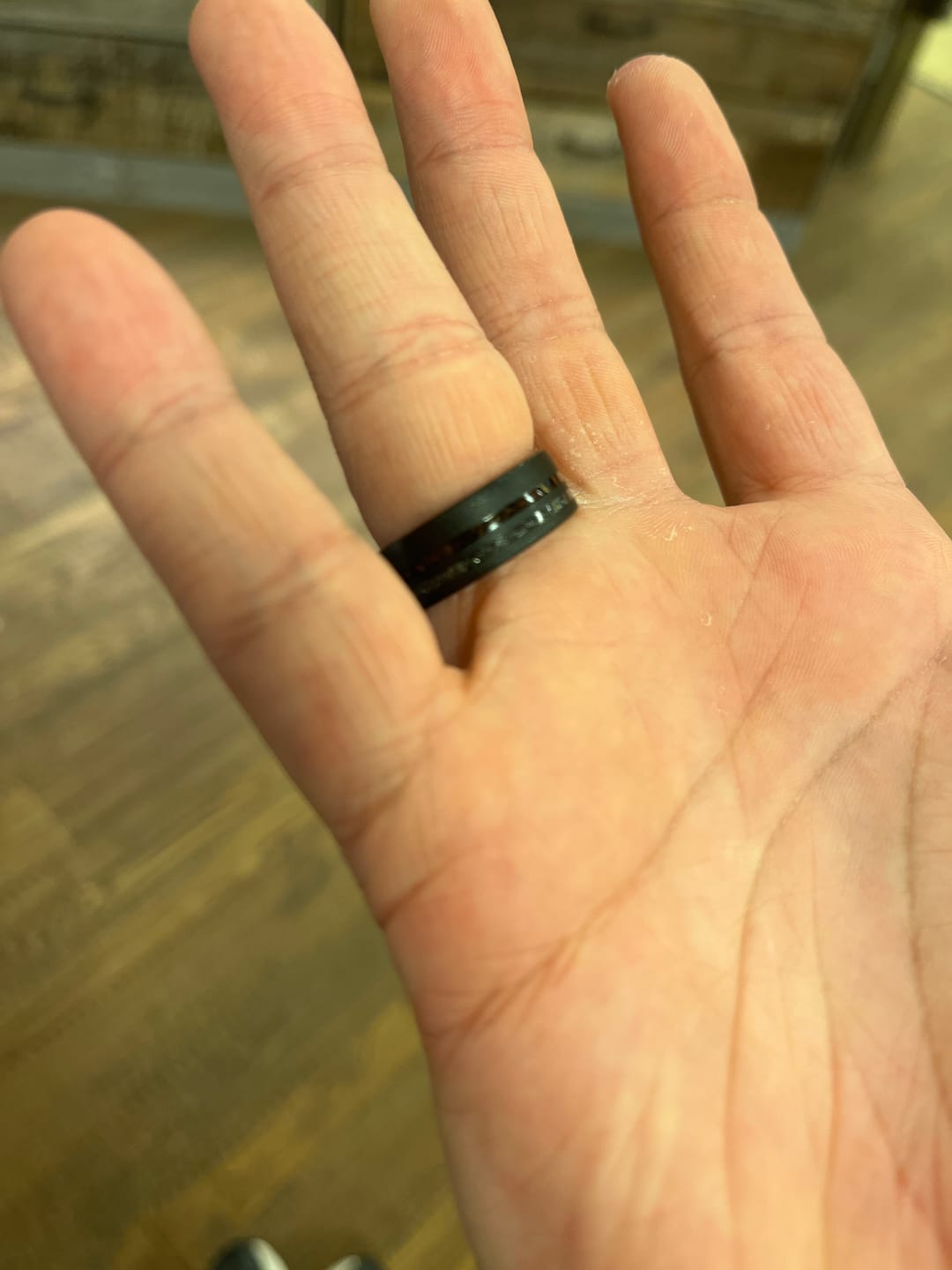 Customer photo review of The Meteorsaur