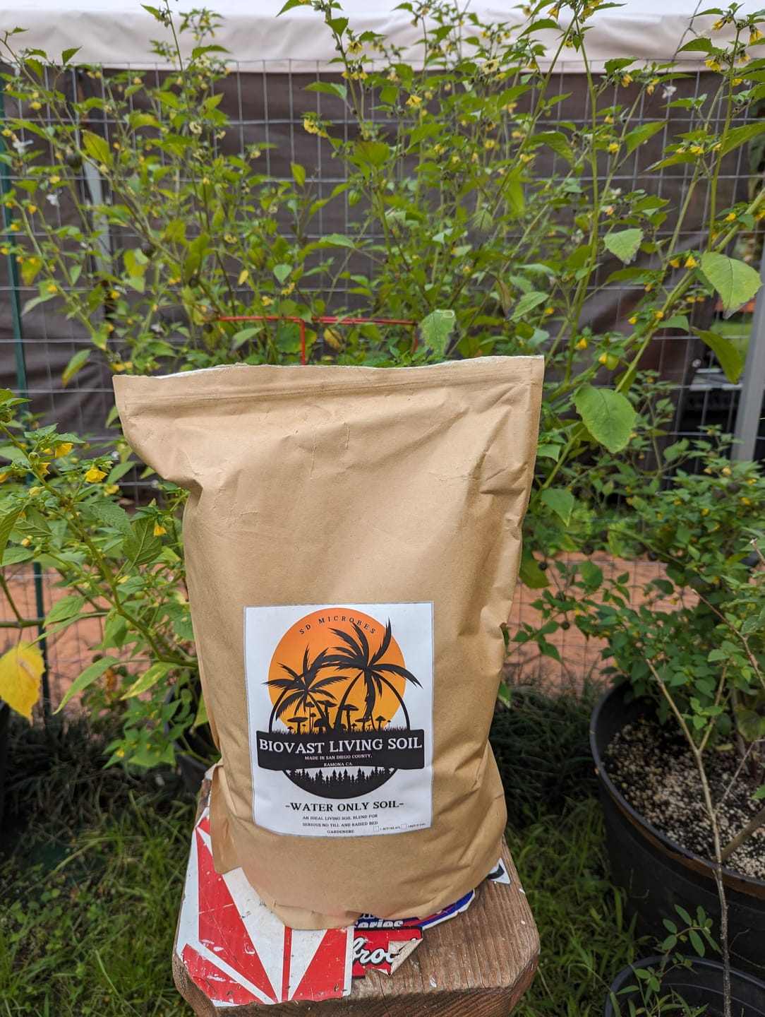 Customer photo review of BioVast Living Soil