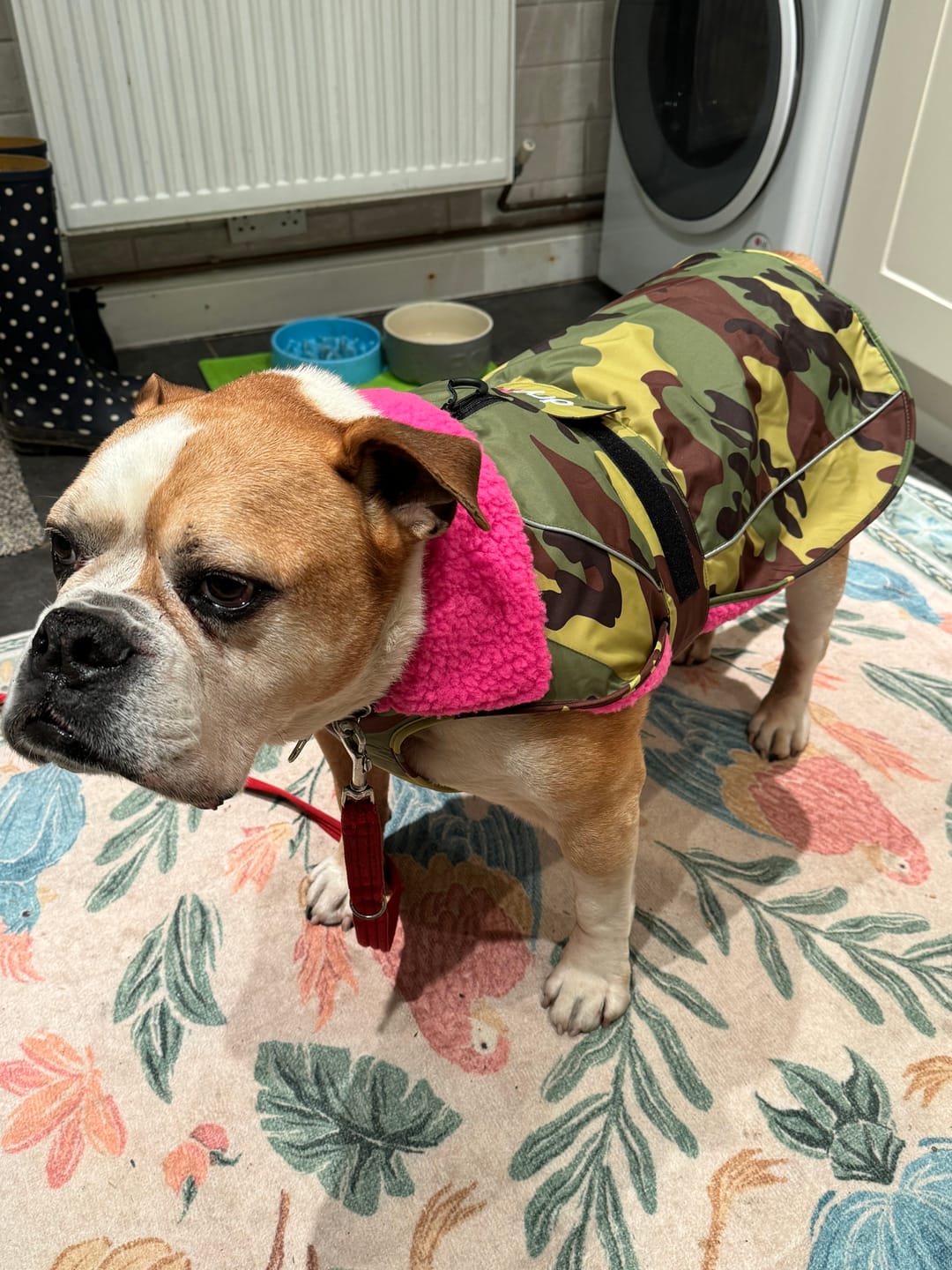 Customer photo review of The dryrobe® Compression Travel Bag