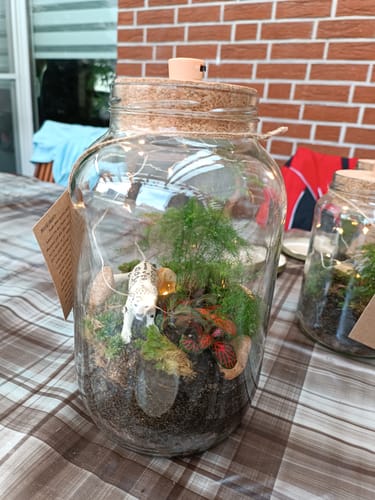 Customer photo review of Flaschengarten-Kindergeburtstags-Set