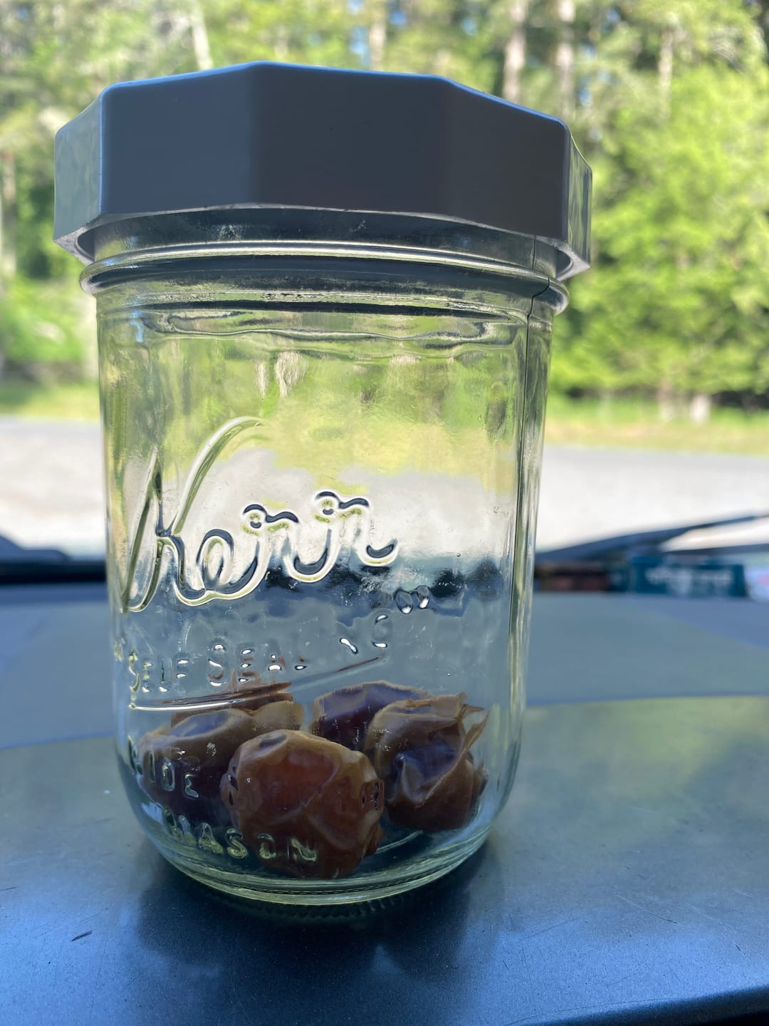 Customer photo review of Organic Barhi Dates Box