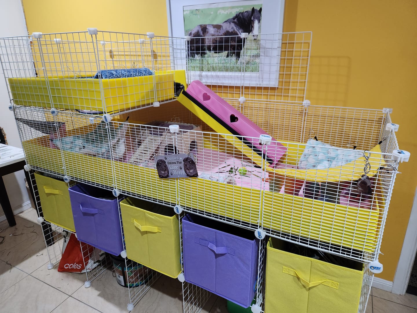 Customer photo review of Loft Combo - 2x2 Wide Loft Add On