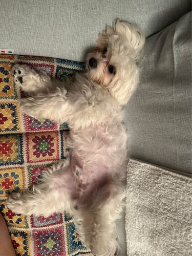 Customer photo review of Trapuntina Quadro Crochet Squares Granny