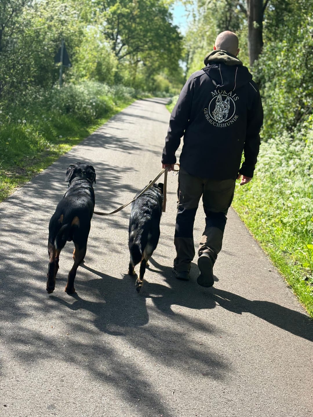 Customer photo review of Double Ended Training Leash | All Breeds - Durable & Soft 2m Leash - Military Tan