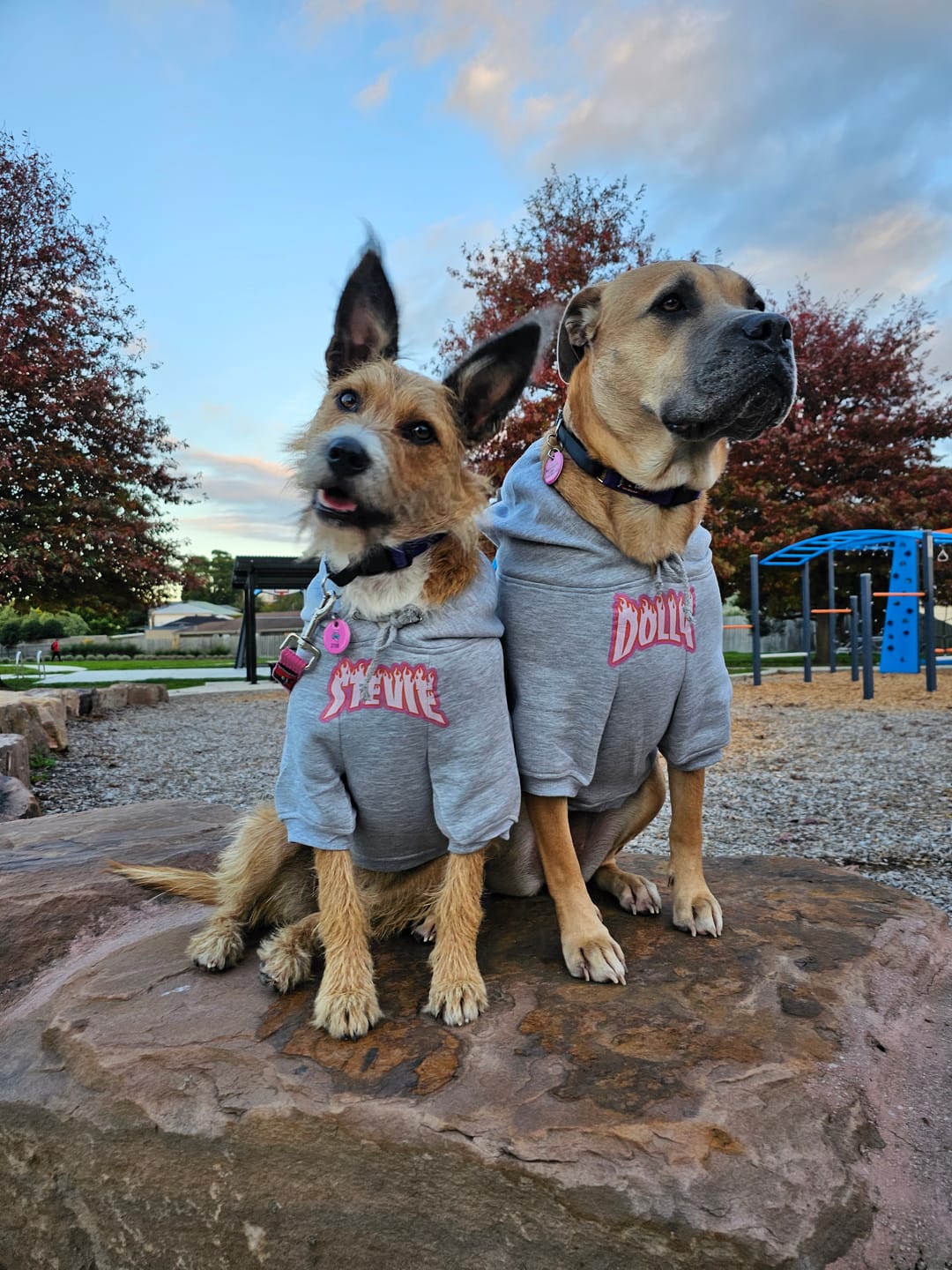 Customer photo review of Personalised Thrasher Font Dog Hoodie 🔥
