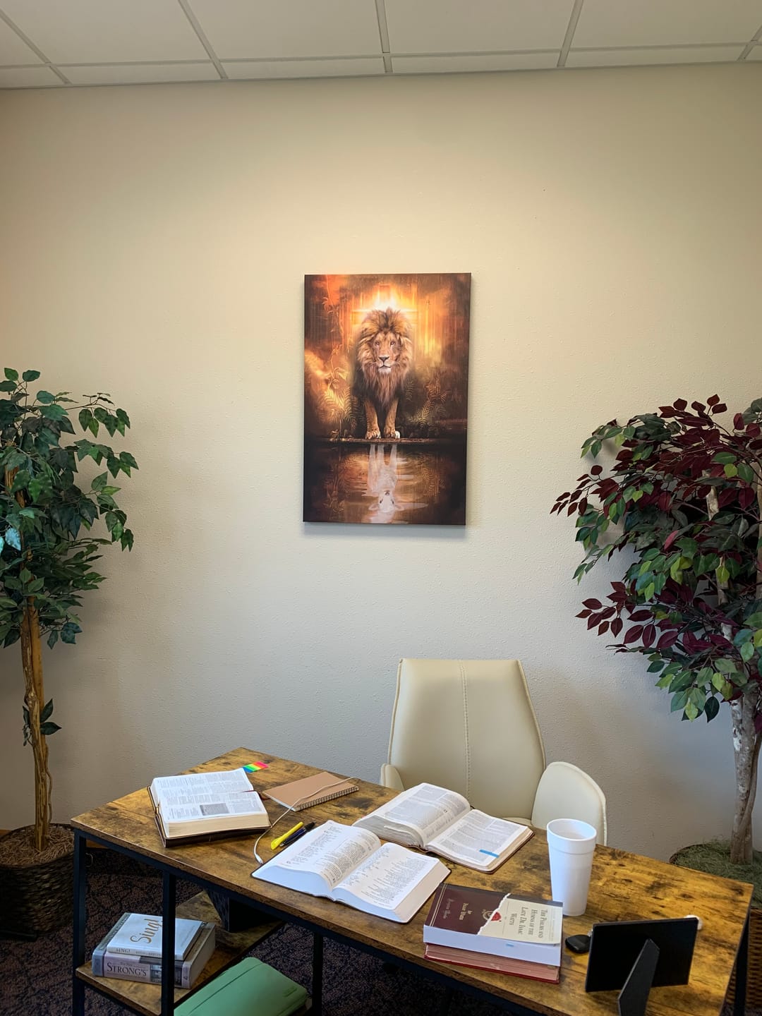 Customer photo review of Lion and Lamb Canvas Wall Art, Lion and Lamb Picture
