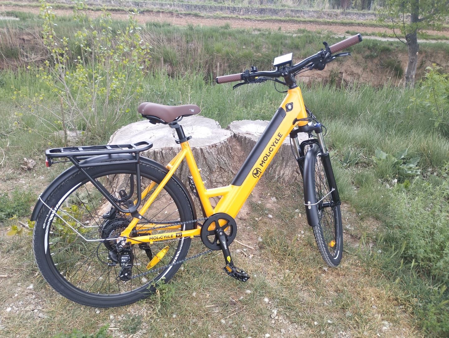 Customer photo review of Molicycle R1 250W 26" Electric Trekking Bike City E-bike 14.5Ah Support APP