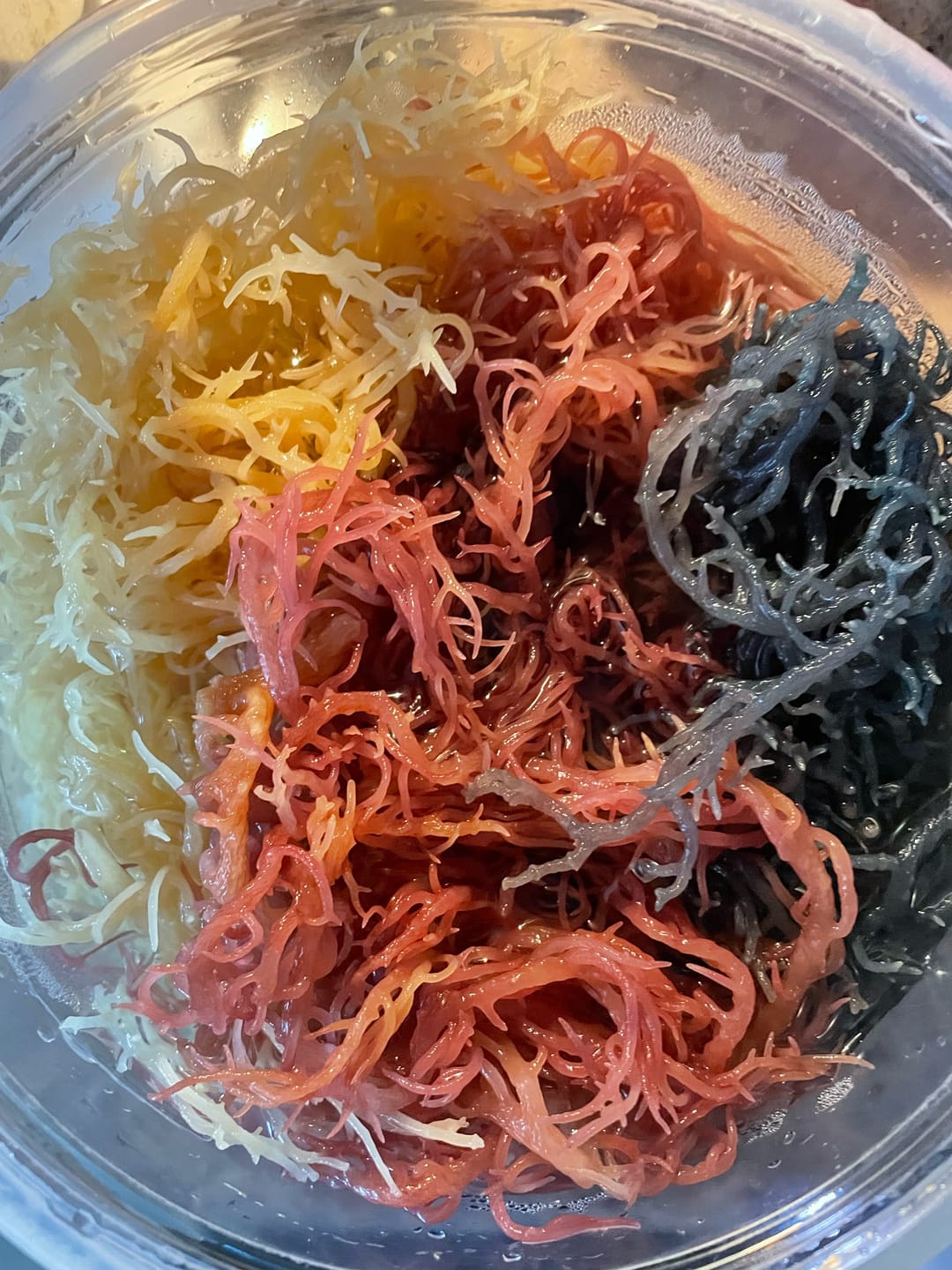 Customer photo review of Full Spectrum Irish Sea moss