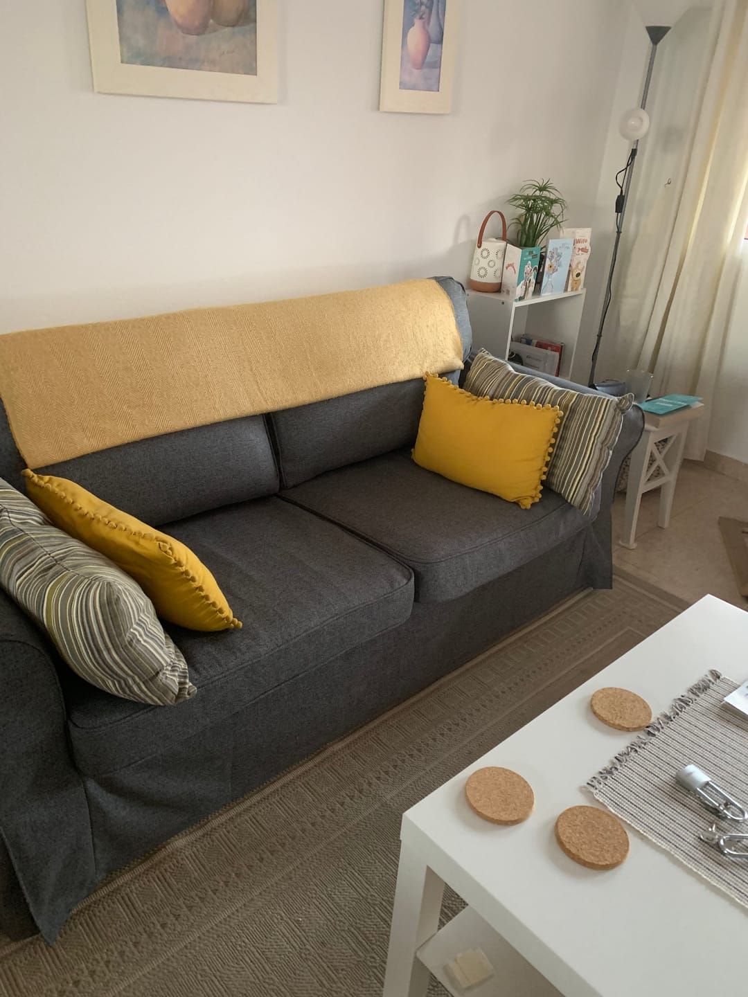 Customer photo review of EKTORP 2 Seat IKEA Sofa Bed Cover