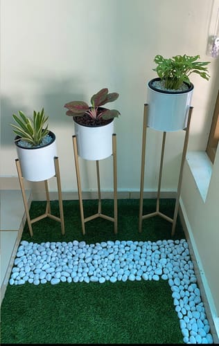 Customer photo review of Modern Big Tall Metal Pots Stands for Home Decoration ( Set of 3 )