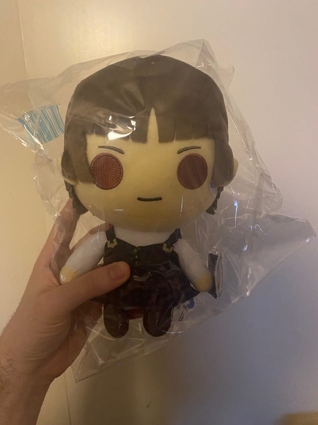 Customer photo review of Persona 5 - Makoto Niijima Collector's Plush