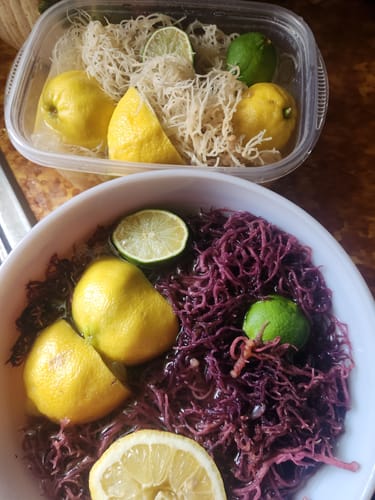 Customer photo review of PURPLE WILDCRAFTED SEA MOSS (SUPER BUNDLE)