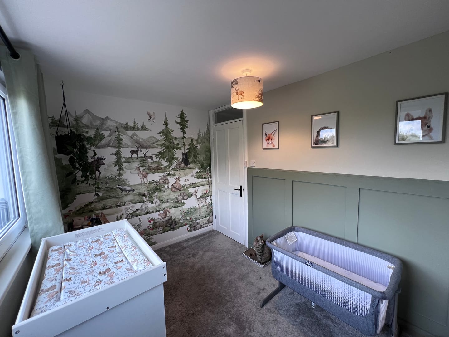 Customer photo review of Magical Woodland Wallpaper Mural
