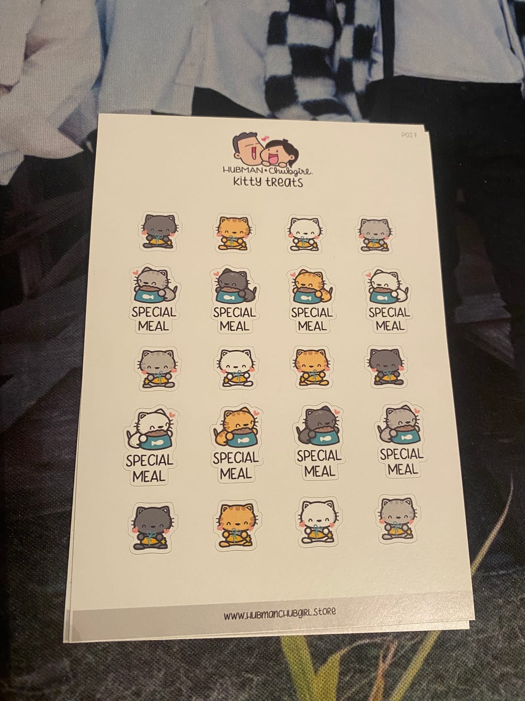 Customer photo review of Kitty Treats Planner Stickers