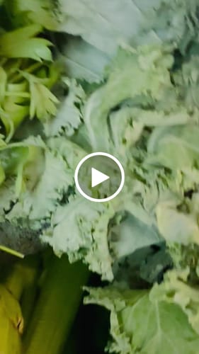 Customer video review of Only Veggies