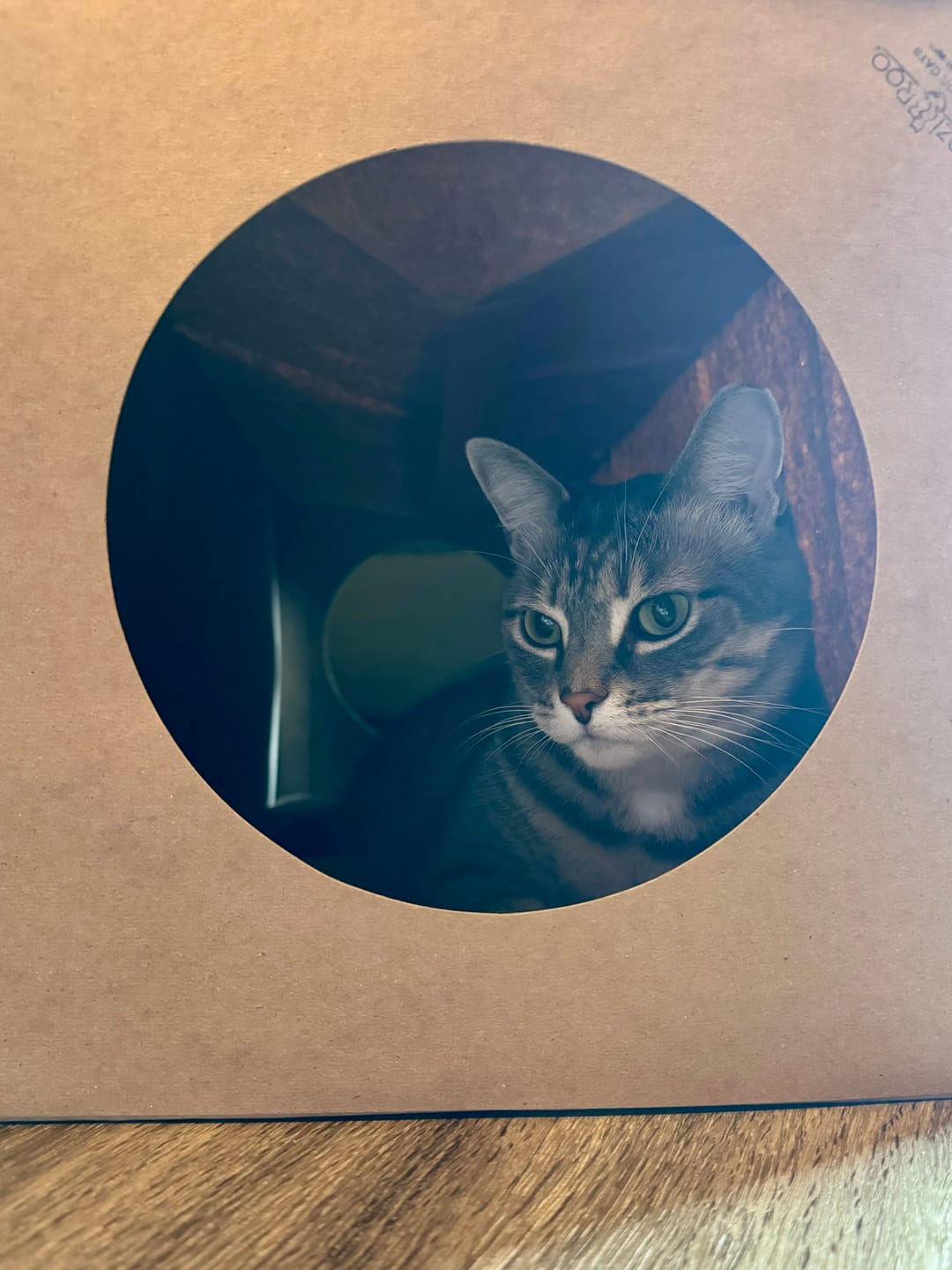 Customer photo review of One of Everything! Bundle