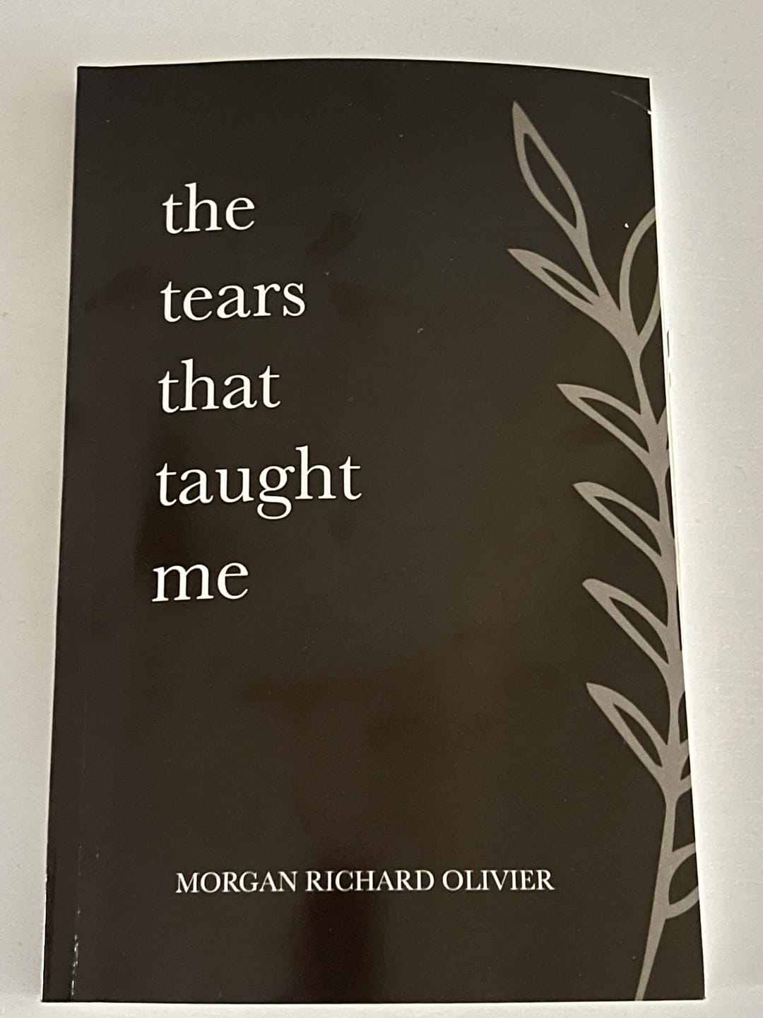 Customer photo review of The Tears That Taught Me (Paperback)