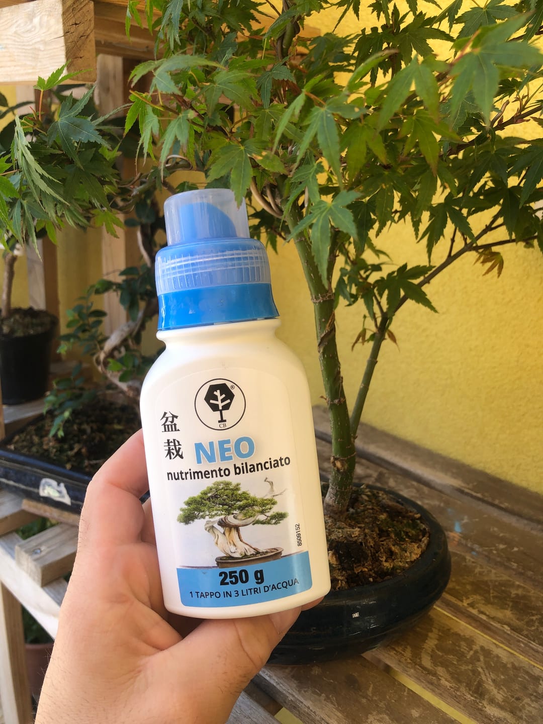 Customer photo review of NEO CB®