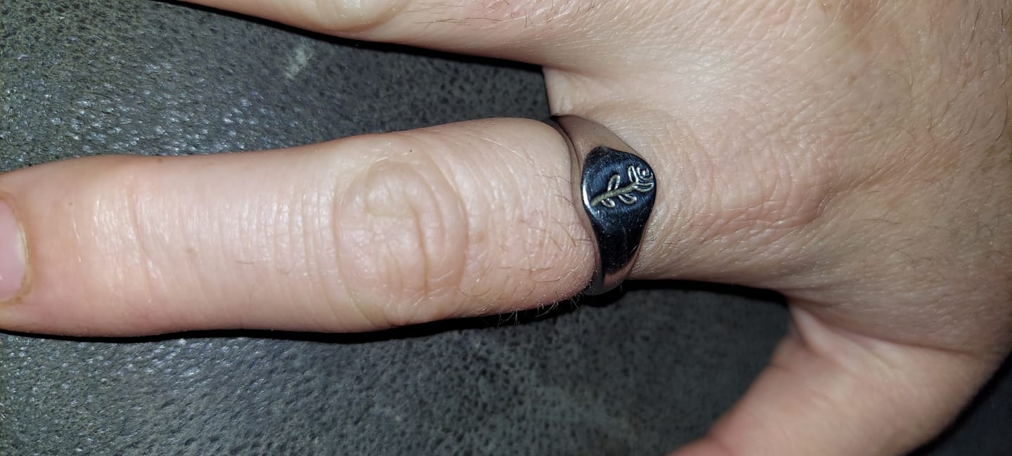Customer photo review of ROSE SILVER.