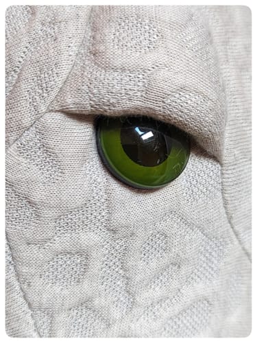 Customer photo review of The Octopus