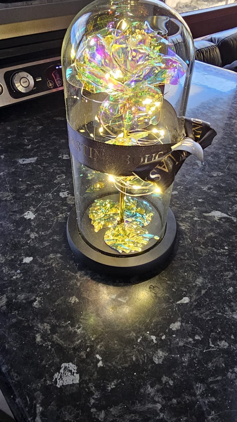 Customer photo review of My Lasting Bouquet™️ Galaxy LED Rose Dome