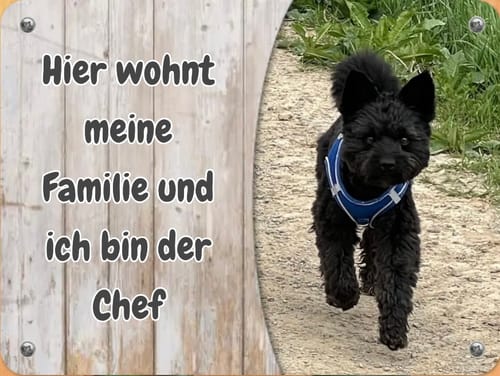 Customer photo review of Hunde-Türschild personalisiert mit Foto & Text (UV- und wetterfest)