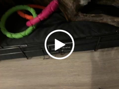 Customer video review of Calming Cover for Kangaroo Crate Mat
