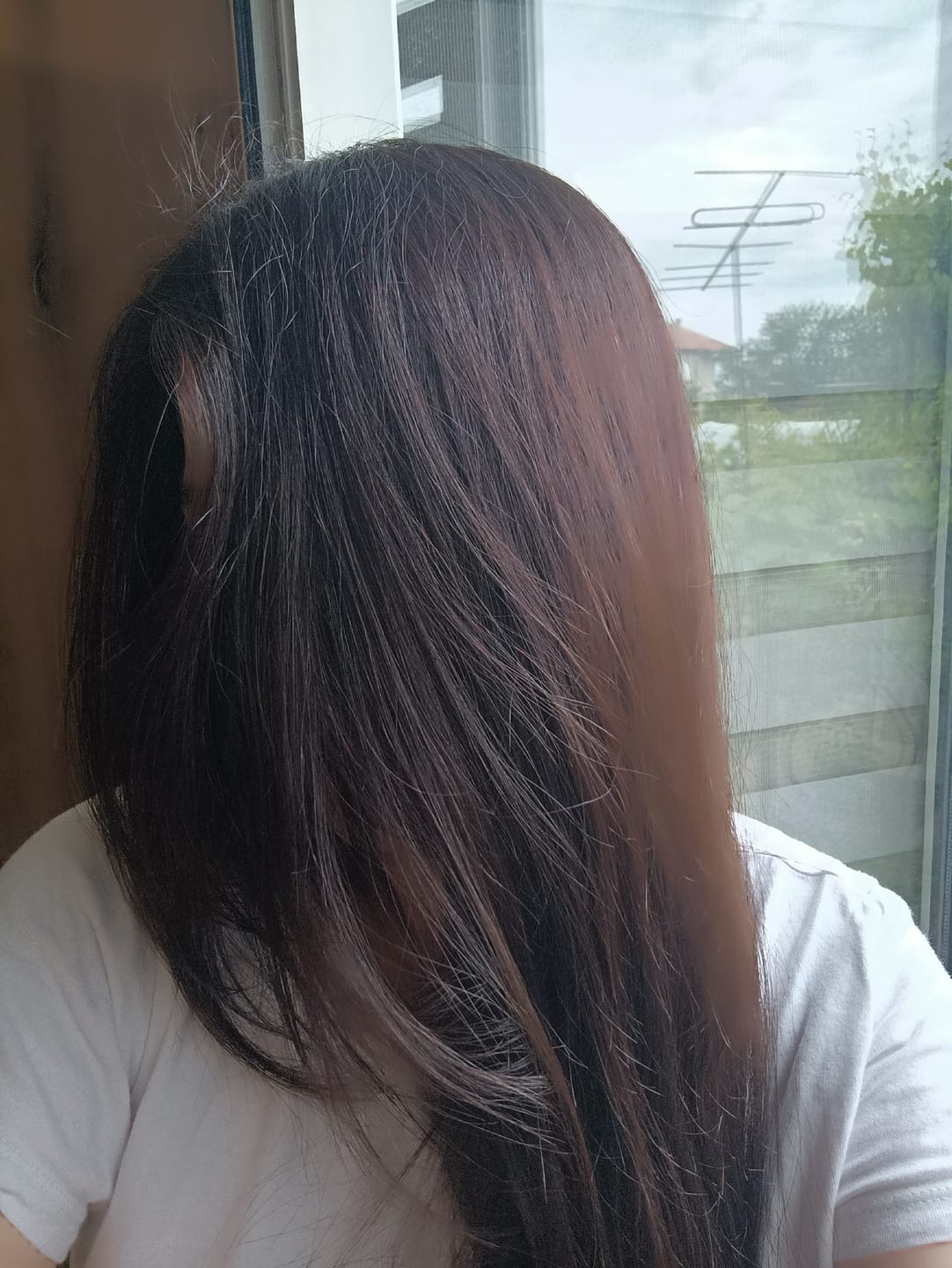 Customer photo review of Професионален шампоан Медена терапия Doori Honey Therapy