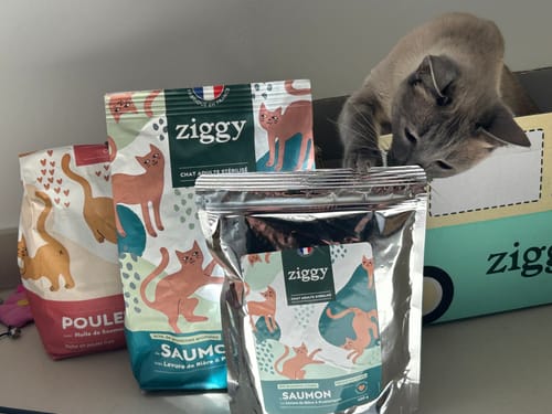 Avis photo d'un client sur Croquettes Chat Stérilisé Sans Céréales - Saumon