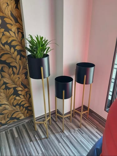 Customer photo review of Modern Big Tall Metal Pots Stands for Home Decoration ( Set of 3 )