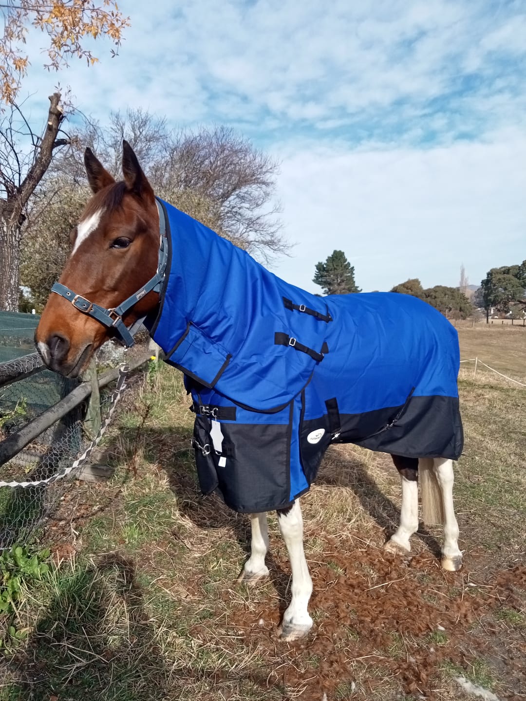 Customer photo review of Duke 1200d Detacha-neck