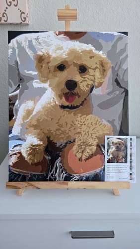 Customer photo review of Paint Your Pet by Numbers Featuring Custom Paint by Numbers Kit