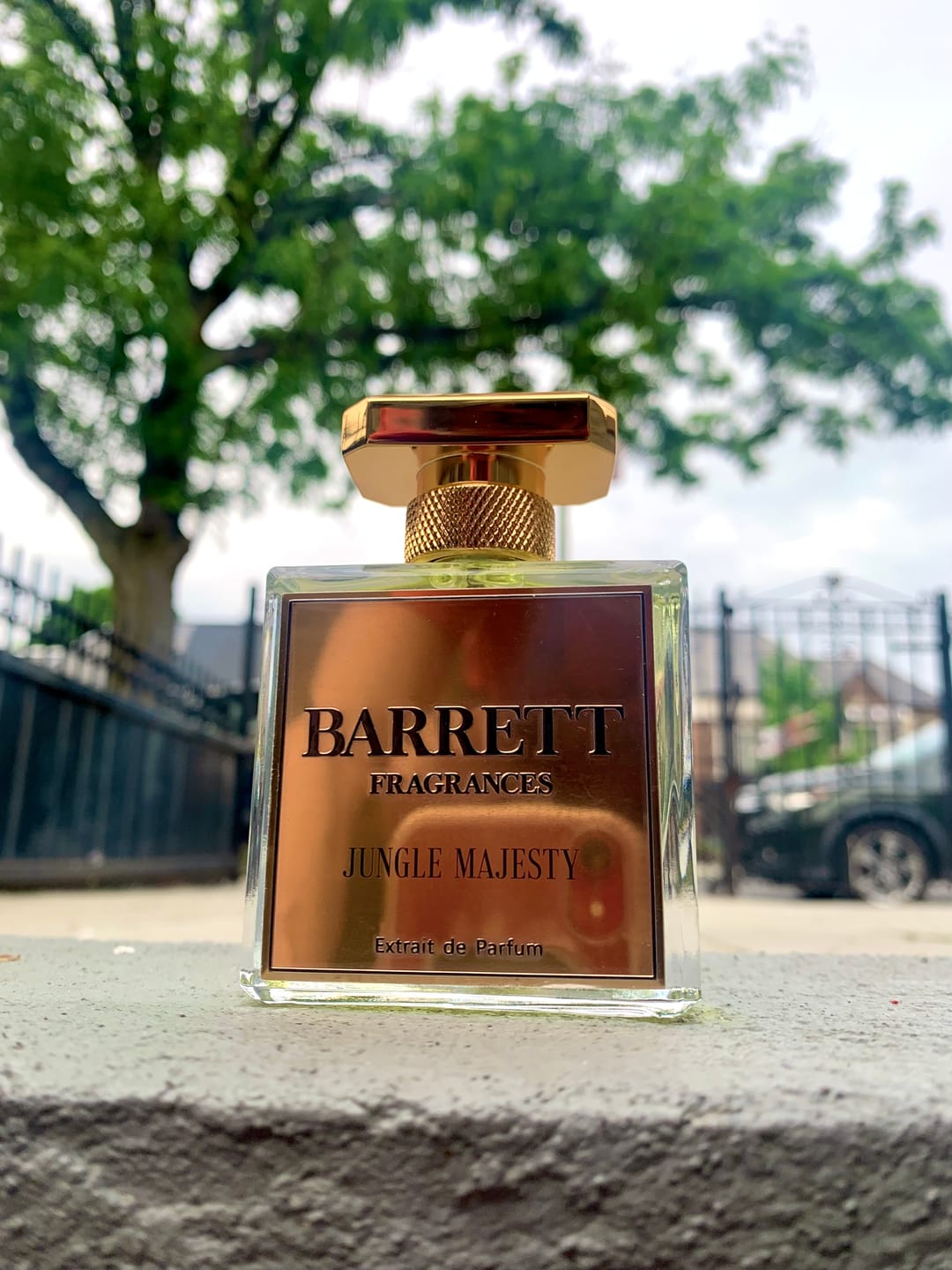 Customer photo review of Jungle Majesty inspired by Tygar
