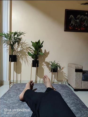 Customer photo review of Modern Big Tall Metal Pots Stands for Home Decoration ( Set of 3 )