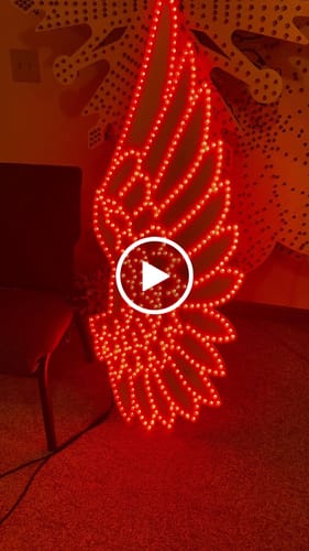 Customer video review of Replacement EVO Pixel