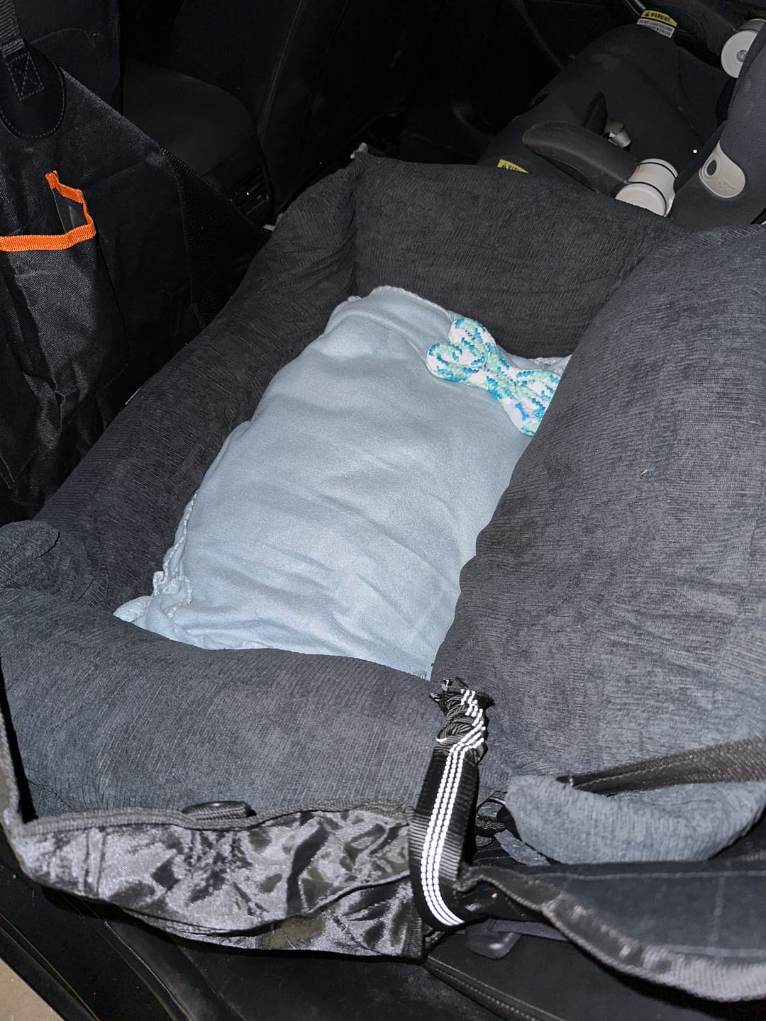 Customer photo review of PaWz Dog Car Booster Seat
