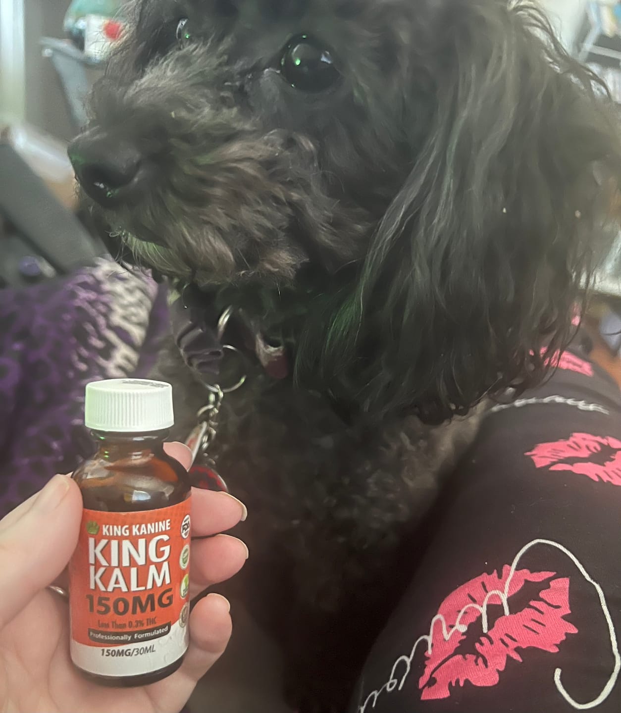 Customer photo review of KING KALM CBD 150mg - Medium Pet Formula 20 to 45lbs