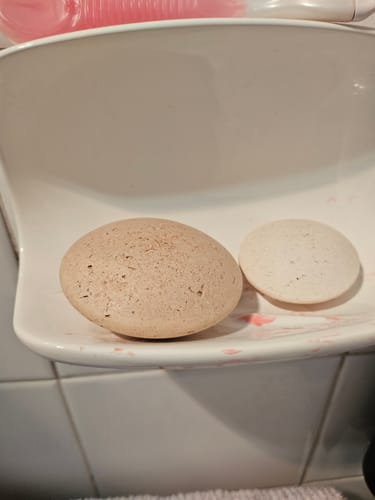 Customer photo review of Buy 1 Claystone Set - Get the 2nd Set Free