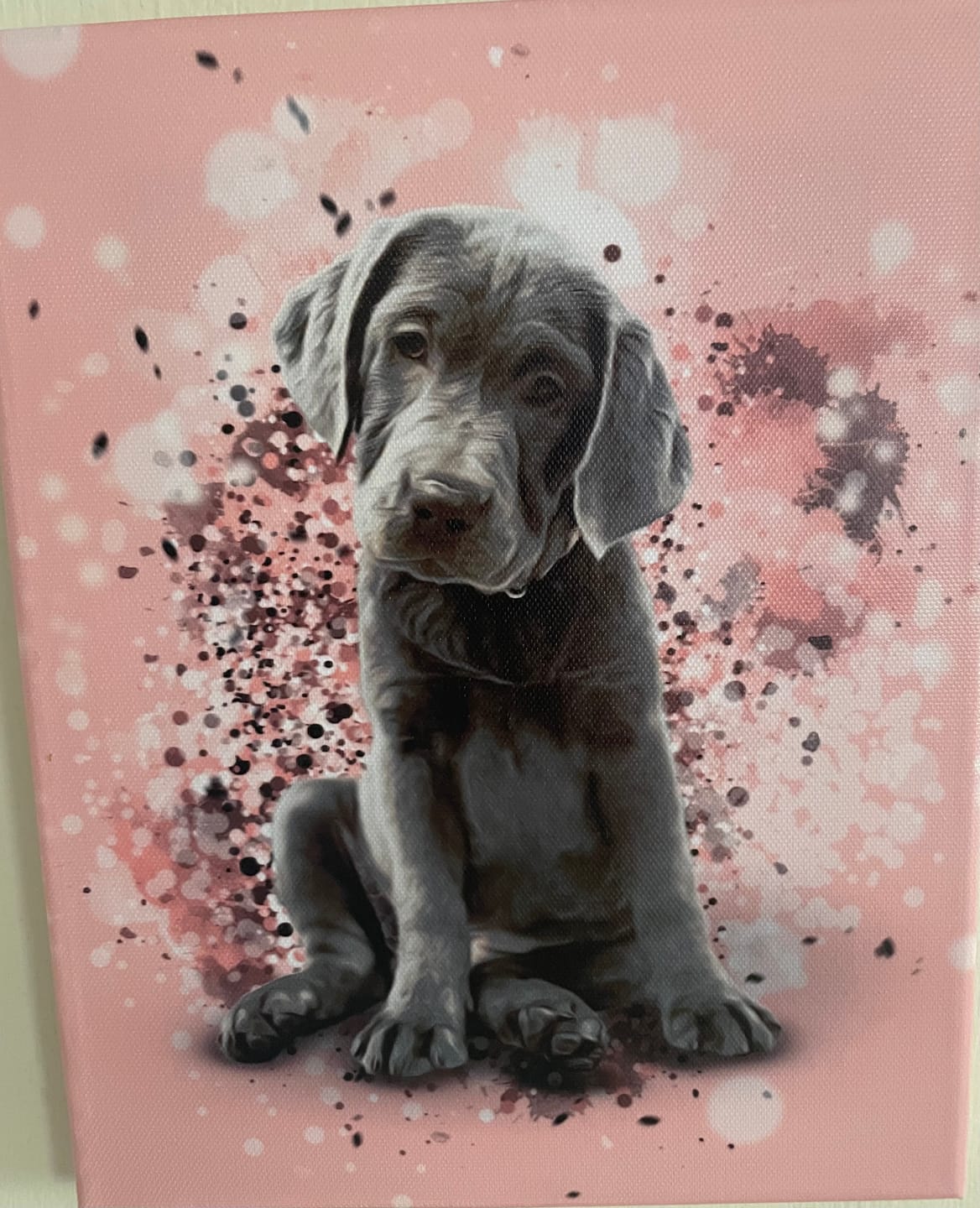 Customer photo review of Personalized Pet Art - Canvas