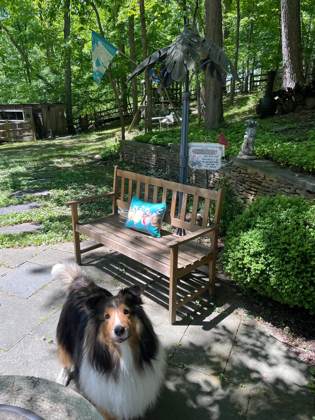 Customer photo review of And Into The Garden I Go Gardening Girl - Garden Sign - Personalized Custom Classic Metal Signs