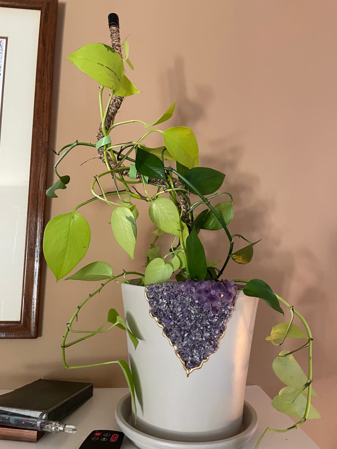 Customer photo review of The Original Bendable Coir Pole™ - Best Seller (Tape Included)