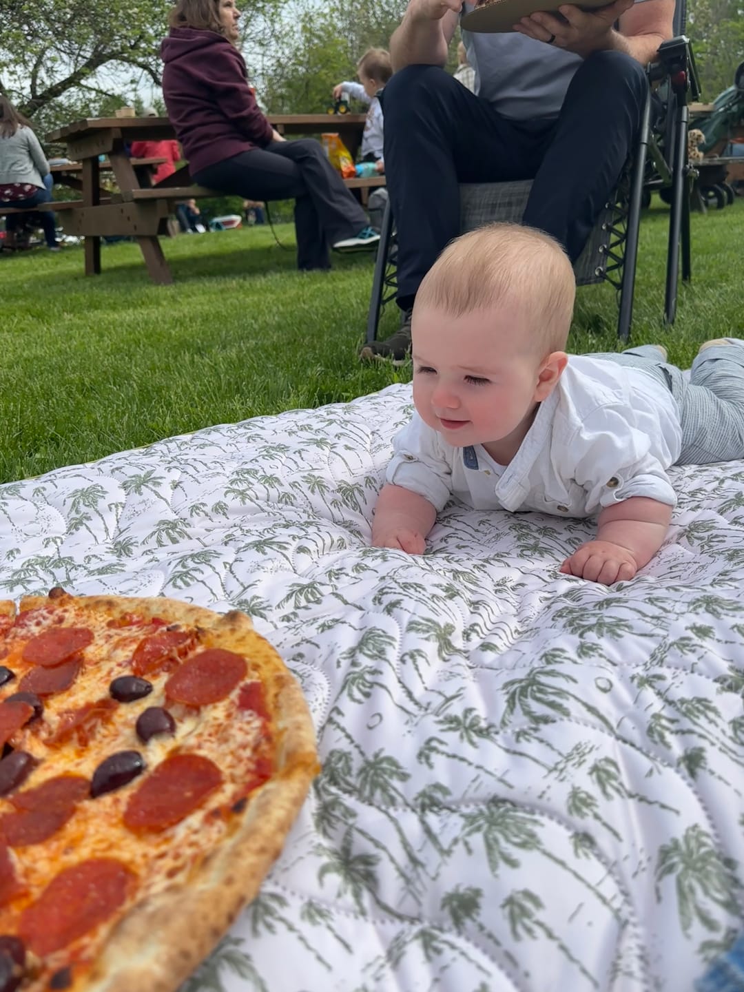 Customer photo review of Adventure Play Mat — Machine Washable Reversible Indoor/Outdoor Quilted Water Resistant Blanket