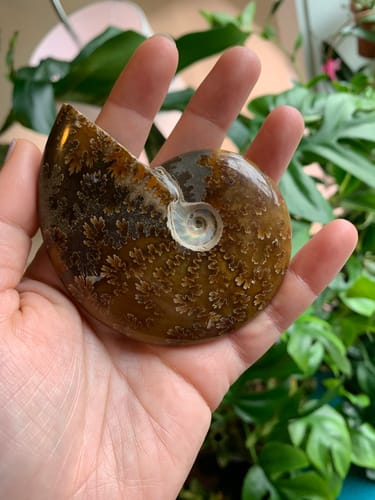 Customer photo review of gizzi.banana