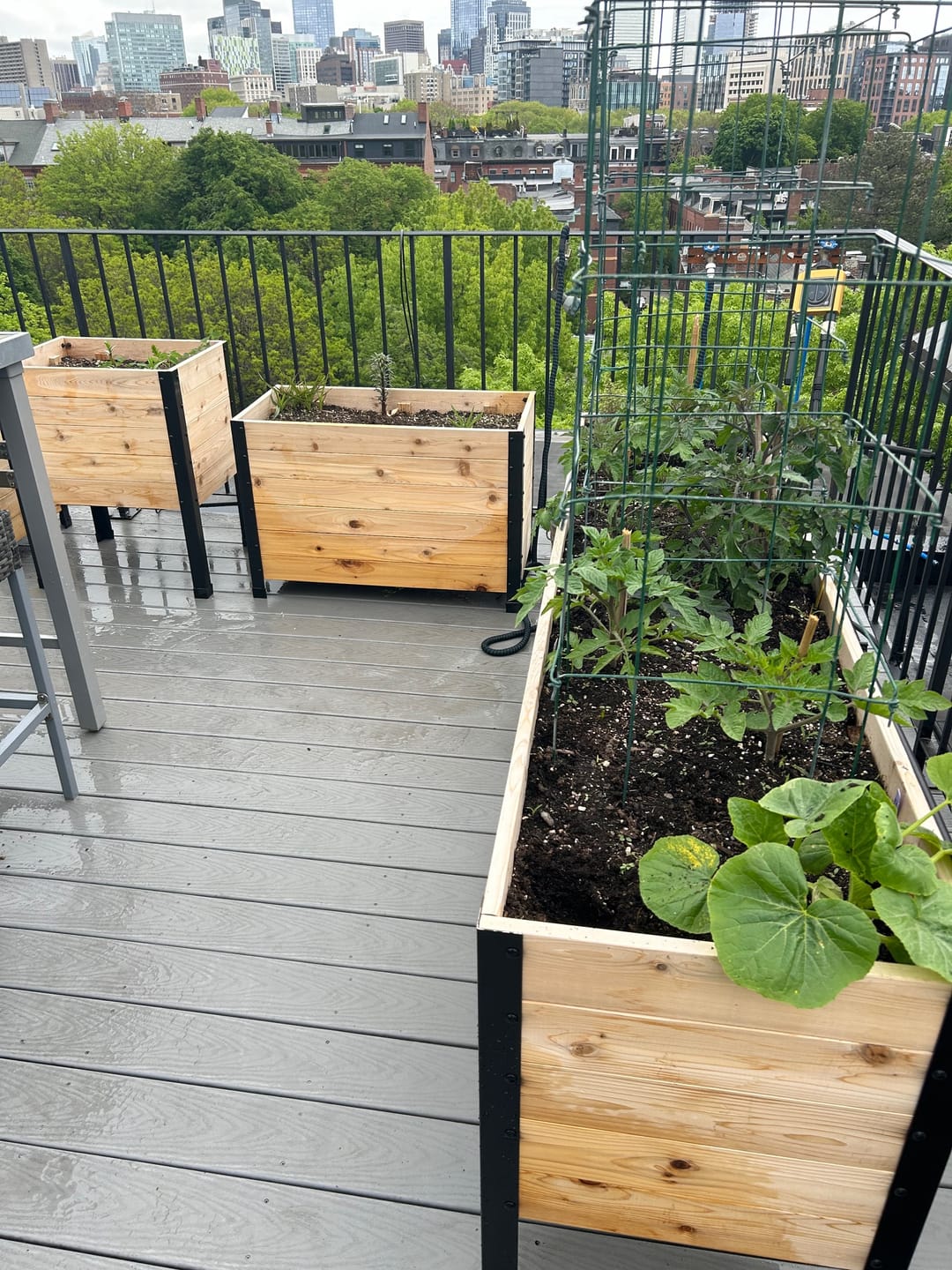 Customer photo review of 18" x 72" Planter Box - 24" Tall