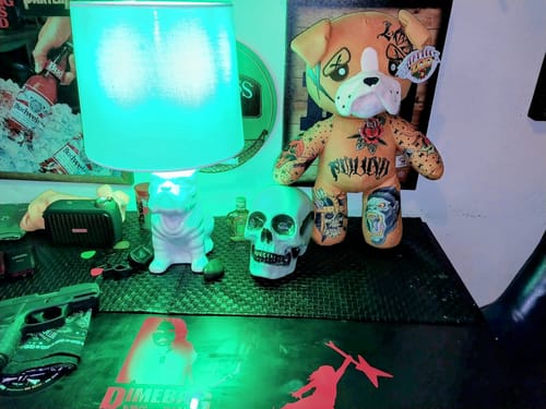 Customer photo review of Benny the Bulldog