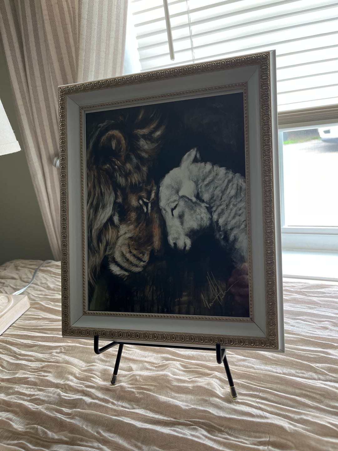 Customer photo review of Compassion of a King