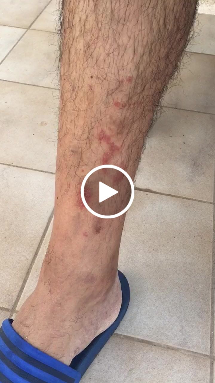 Customer video review of Body Cream with Chia Seed Oil