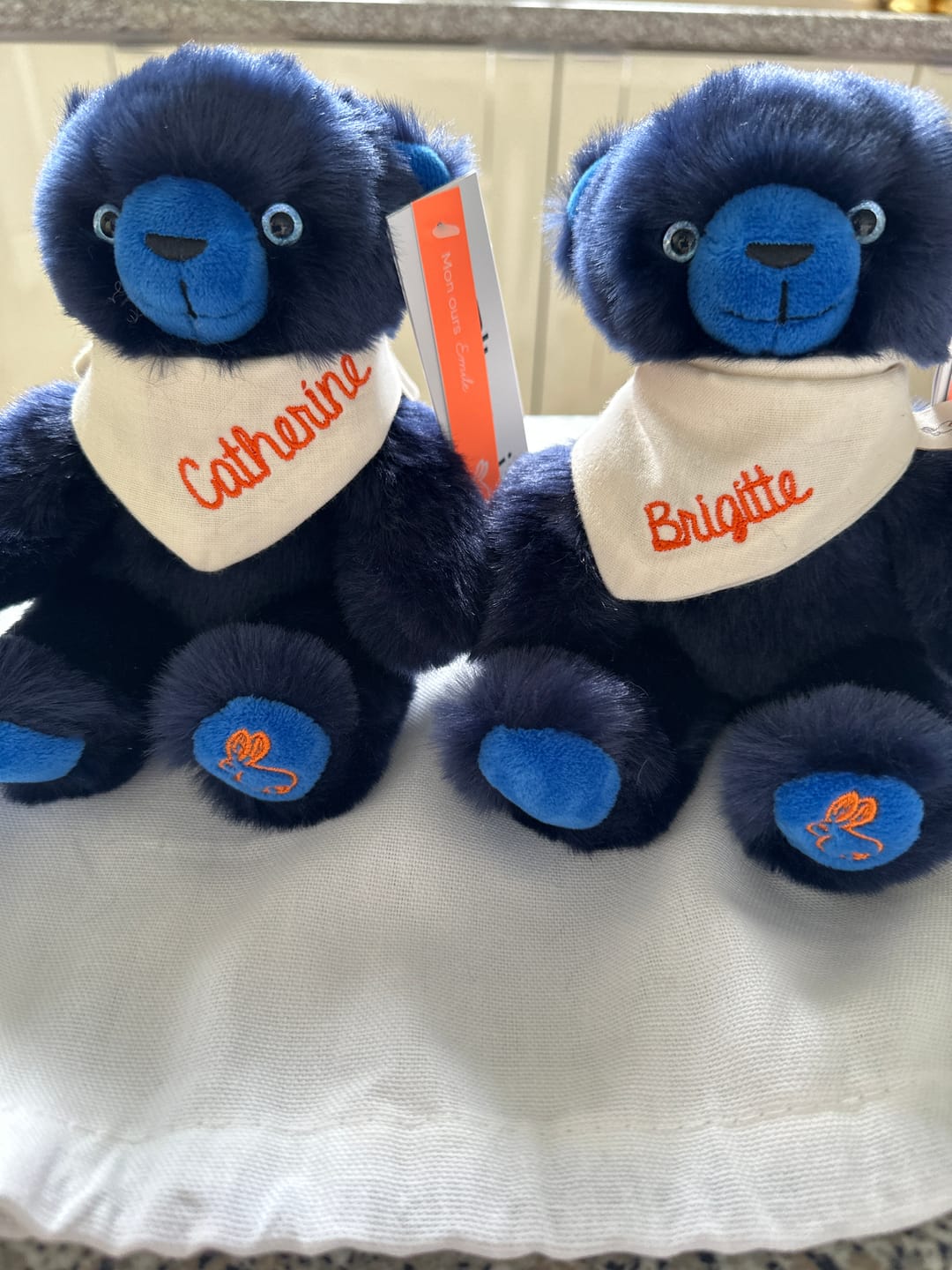 Customer photo review of Ma peluche Ours Émile