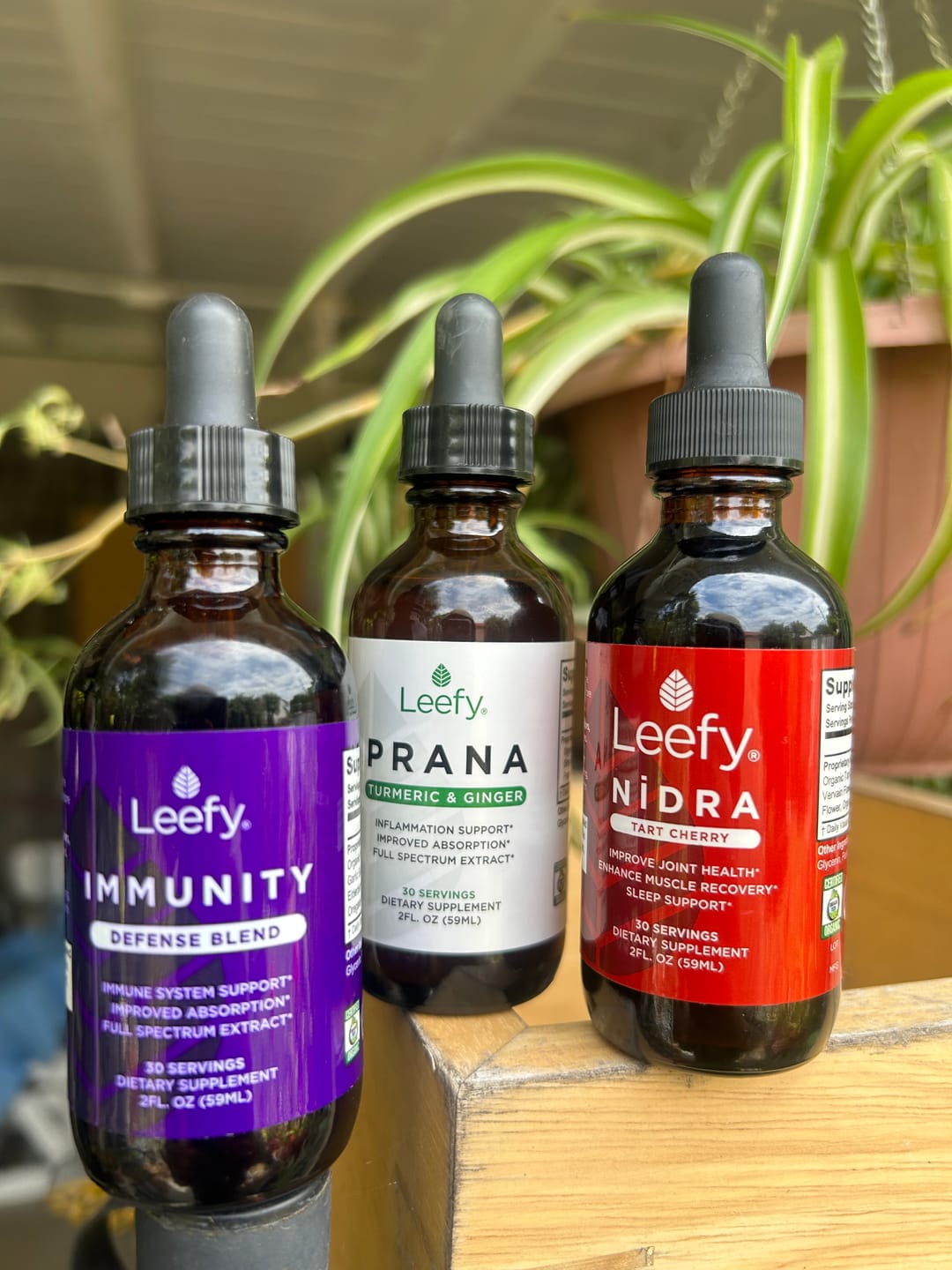 Customer photo review of TRIO BUNDLE